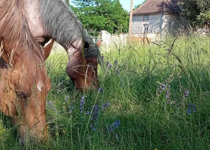 펜션 Bede Montgesty