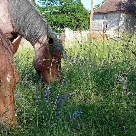 펜션 Bede Montgesty